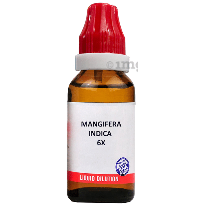 Bjain Mangifera Indica Dilution 6X