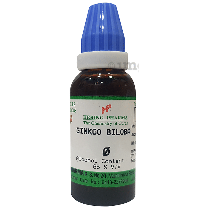 Hering Pharma Ginkgo Biloba Mother Tincture Q