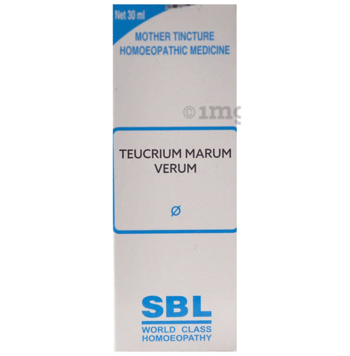 SBL Teucrium Marum Verum Mother Tincture Q