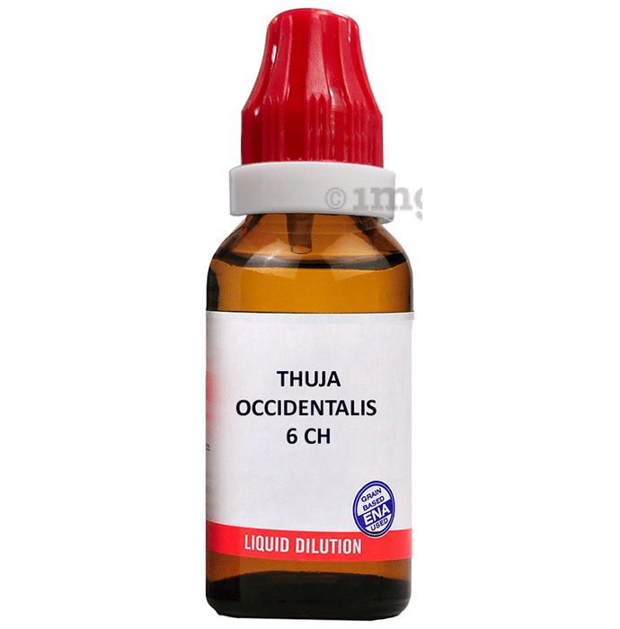 高濃度liquid 1ml【KING of ドラゴン】 Bjain Thuja Occidentalis Dilution 6 CH: Buy bottle of 10.0 ml