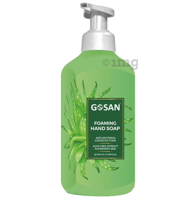 Gosan Aloe Vera Extract Foaming Hand Soap