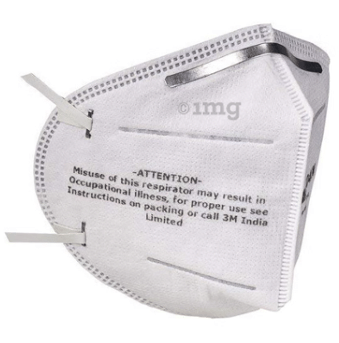 3M 9004IN Dust/Mist Respirator Mask