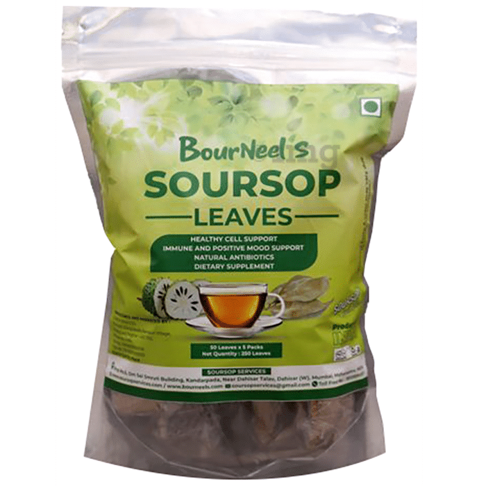 Soursop Leaves for Immunity, Healthy Cells, Antibiotics & Mood Support
