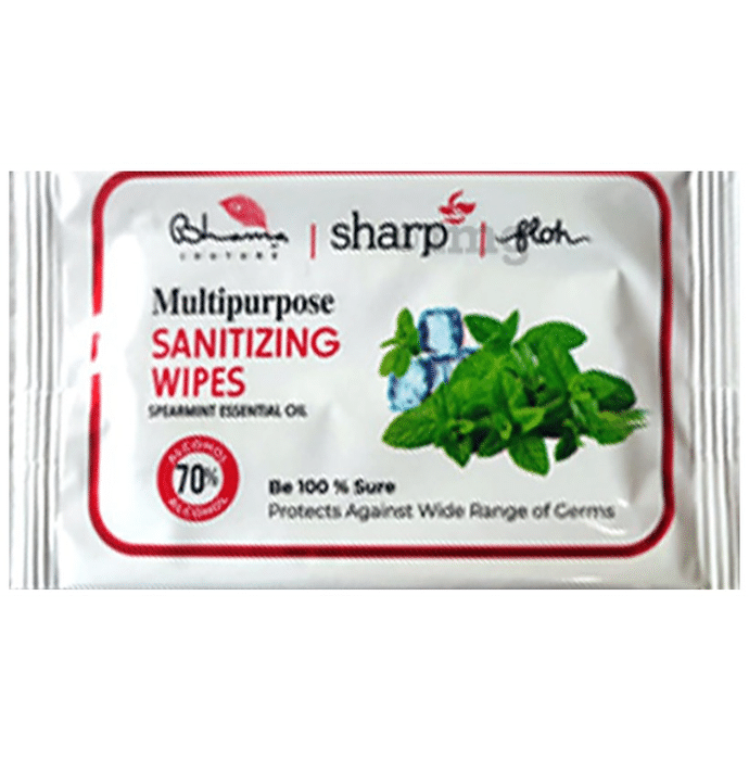 FLOH Multipurpose Sanitizing Wipes (1 Each)
