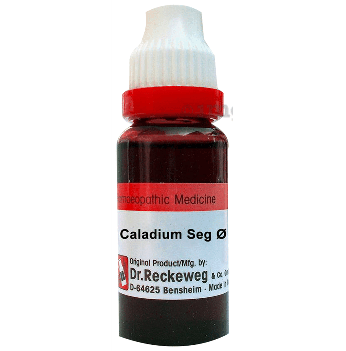 Dr. Reckeweg Caladium Seg Mother Tincture Q