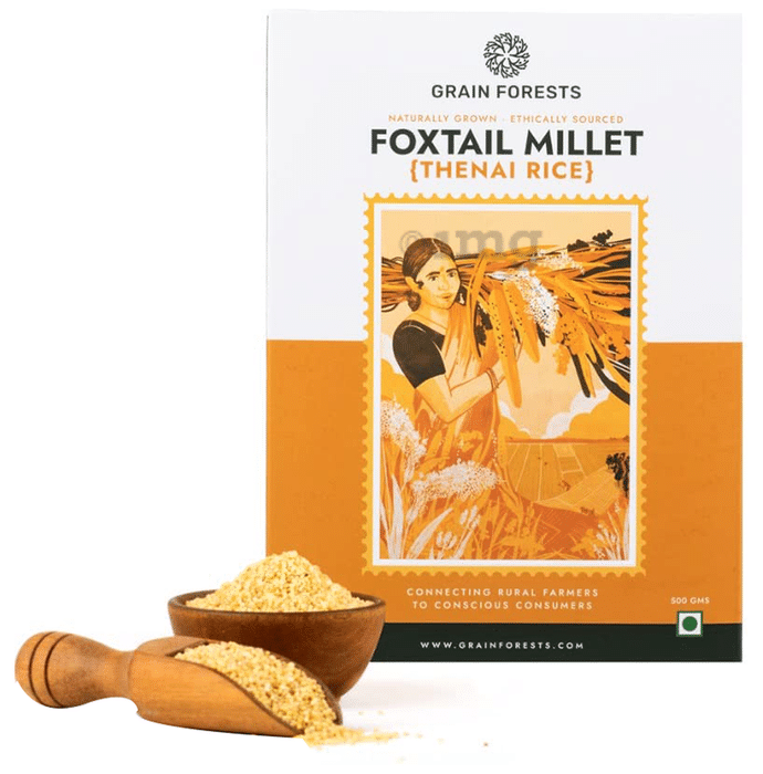 Grain Forests Foxtail Millet (Thenai Rice) Grains