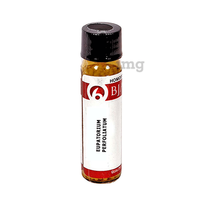Bjain Eupatorium Perfoliatum Globules 6X