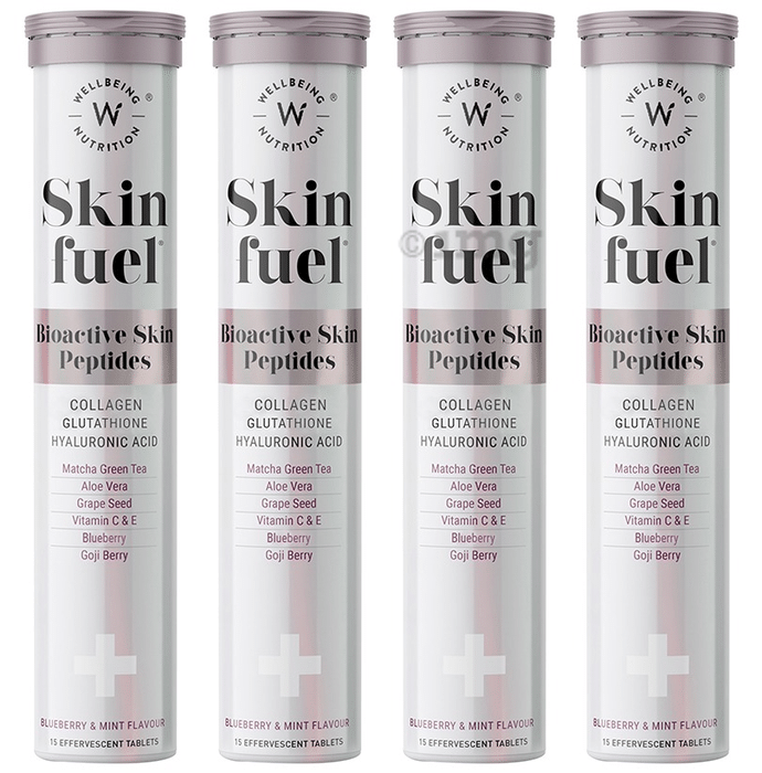 Wellbeing Nutrition Skin Fuel Effervescent Tablet (15 Each) Blueberry & Mint