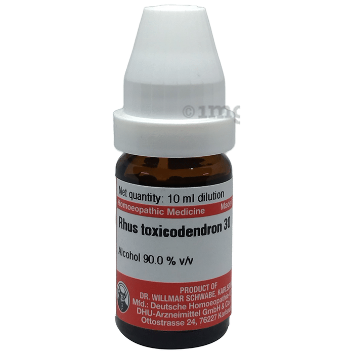 Dr Willmar Schwabe Germany Rhus Toxicodendron Dilution 30