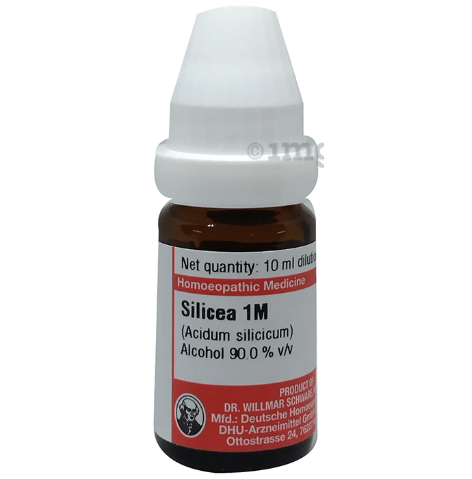Dr Willmar Schwabe Germany Silicea Dilution 1M