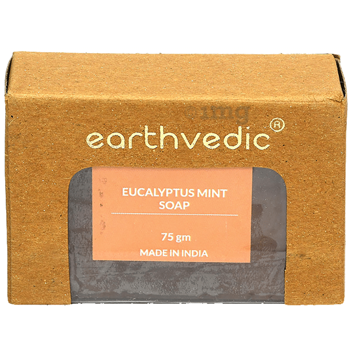 Earthvedic Eucalyptus Mint Soap (75gm Each)