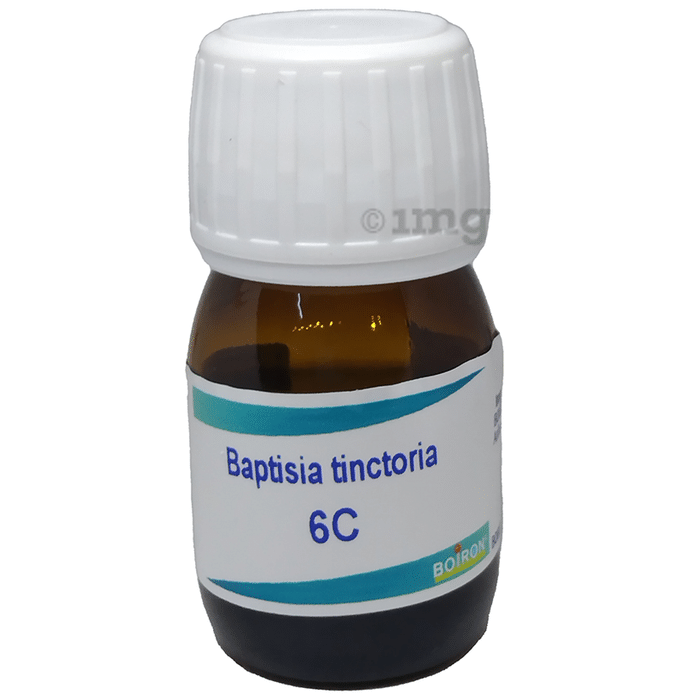 Boiron Baptisia Tinctoria Dilution 6C