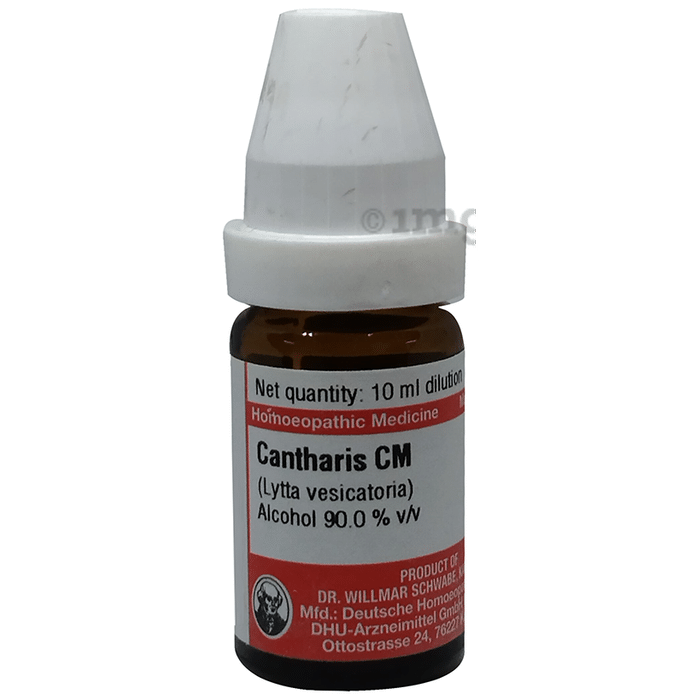 Dr Willmar Schwabe Germany Cantharis Dilution CM