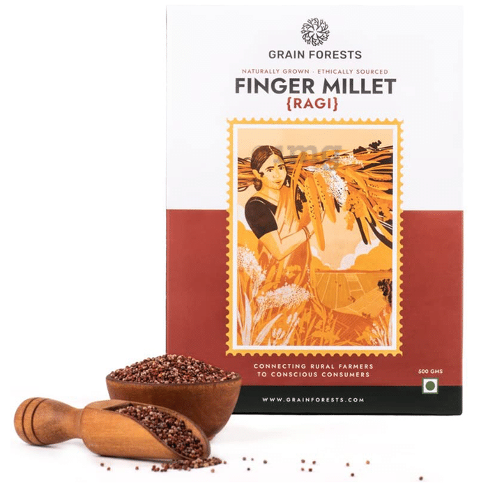 Grain Forests Finger Millet (Ragi) Grains