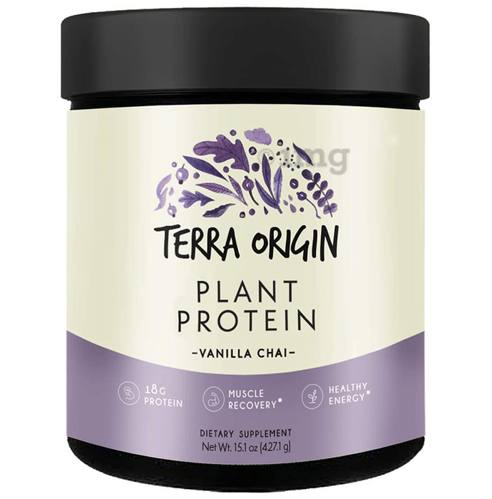 Terra Origin Plant Protein Vanilla Chai