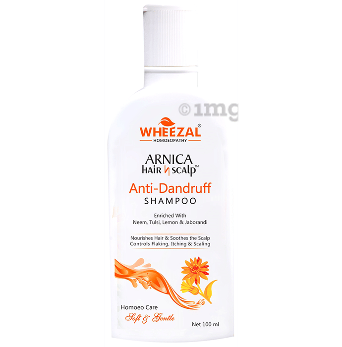 Wheezal Arnica Hair N Scalp Anti-Dandruff Shampoo