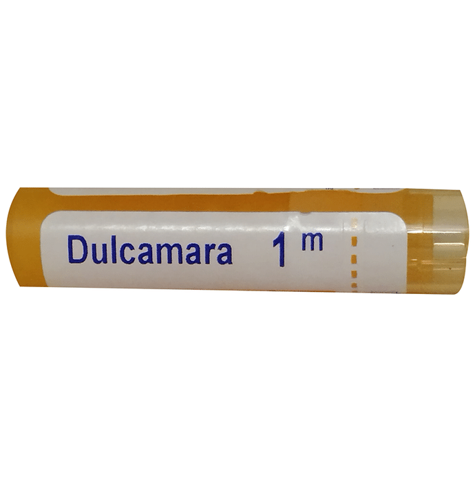 Boiron Dulcamara Pellets 1M