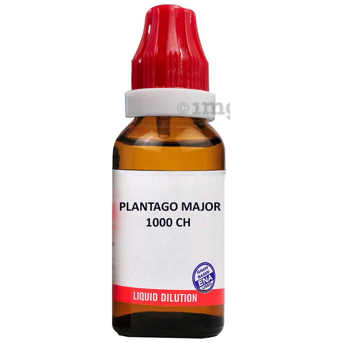 Bjain Plantago Major Dilution 1000 CH