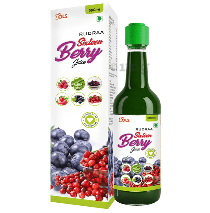 Rudraa Sixteen Berry Juice