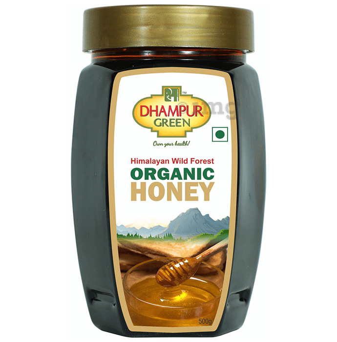 Dhampur Green Himalayan Wild Forest Organic Honey