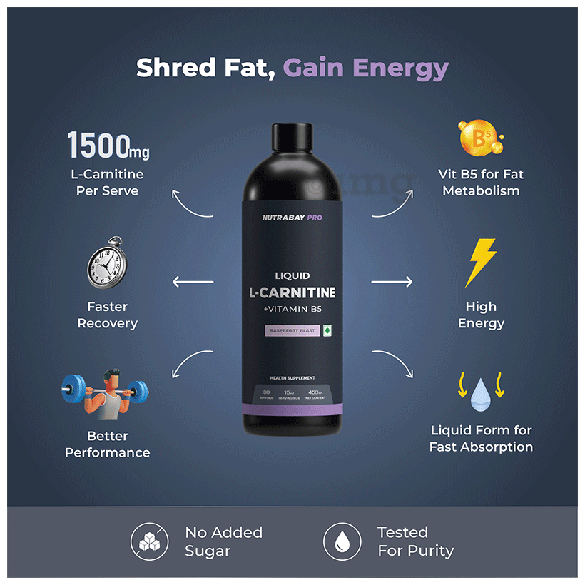 bronx wild bull l-carnitine CarniBlast Liquid 3000mg Energy Supplement Bricker Labs L-Carnitine Supplement - Bodybuilding.com