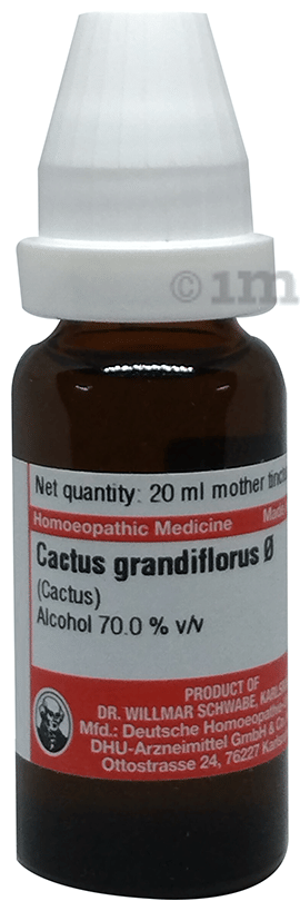 Dr Willmar Schwabe Germany Cactus Grandiflorus Mother Tincture Q: Buy  bottle of 20.0 ml Mother Tincture at best price in India | 1mg