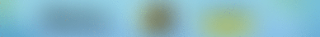 1mg