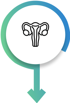 Utrus icon