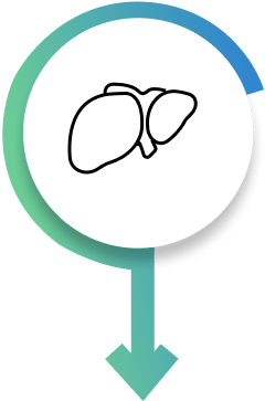 Heart icon