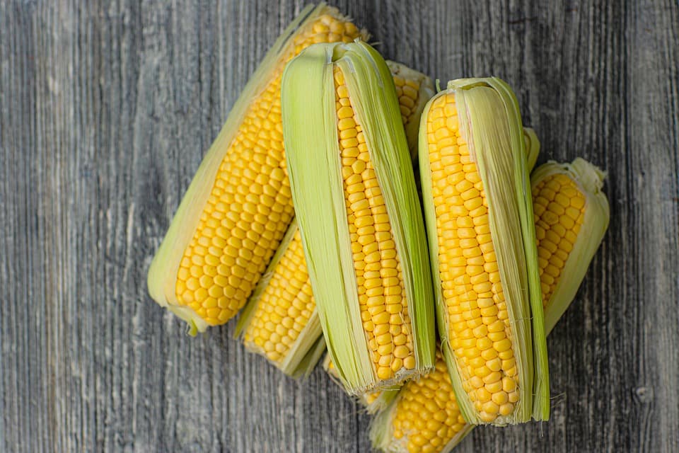 Corn : Benefits, Precautions and Dosage | 1mg