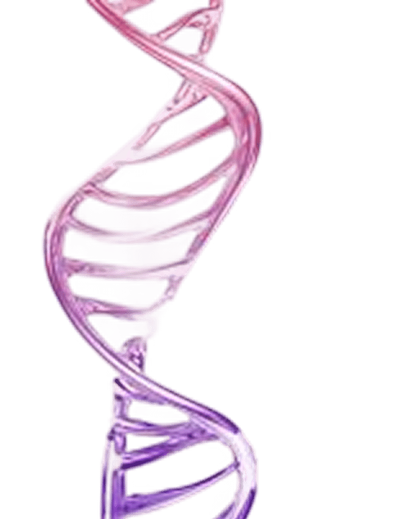 Genetics illustration
