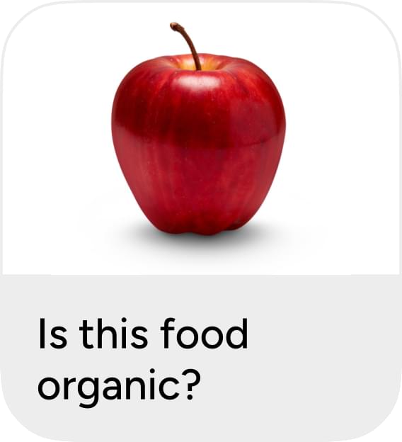 Is this food organic?