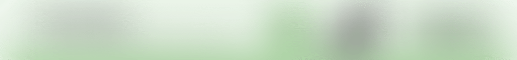 Minimalist